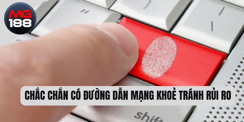 Chắc chắn có đường dẫn mạng khoẻ tránh rủi ro  