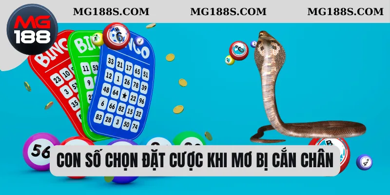 Mơ Thấy Rắn Cắn Xuất Hiện – Linh Cảm Về Vận Hạn Hay Cơ Hội 3 Con số chọn đặt cược khi mơ bị cắn chân