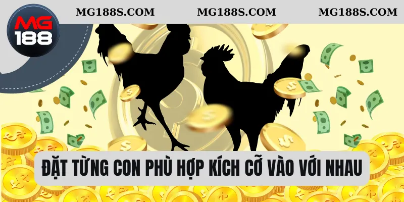Đặt từng con phù hợp kích cỡ vào với nhau 