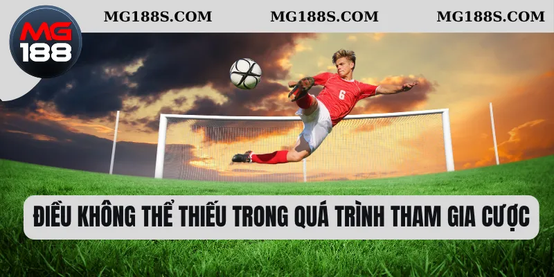 Điều không thể thiếu trong quá trình tham gia cược 