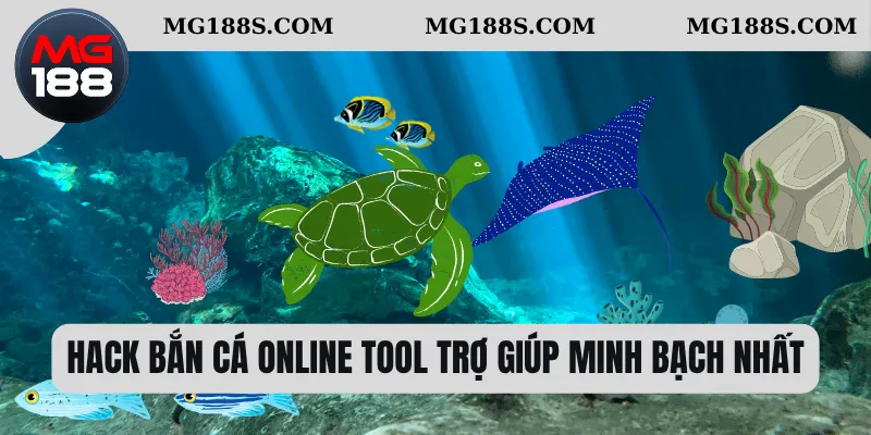Hack bắn cá online tool trợ giúp minh bạch nhất 