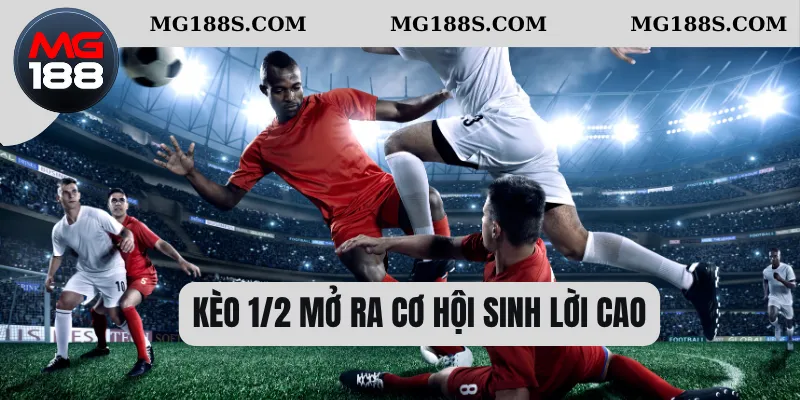 Kèo 1/2 mở ra cơ hội sinh lời cao 