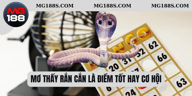 Mơ Thấy Rắn Cắn Xuất Hiện – Linh Cảm Về Vận Hạn Hay Cơ Hội 1 Mơ thấy rắn cắn là điềm tốt hay cơ hội