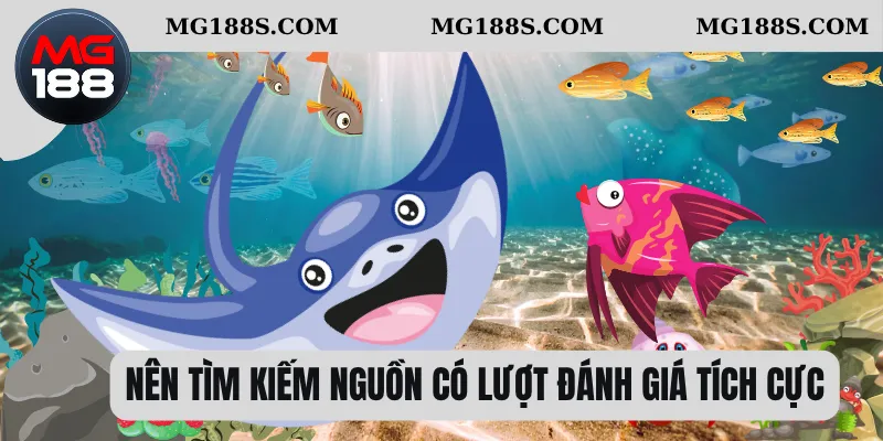 Nên tìm kiếm nguồn có lượt đánh giá tích cực 