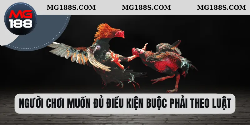 Người chơi muốn đủ điều kiện buộc phải theo luật 