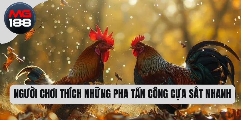 Người chơi thích những pha tấn công cựa sắt nhanh 