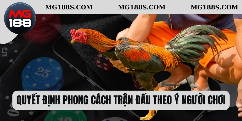 Quyết định phong cách trận đấu theo ý người chơi 
