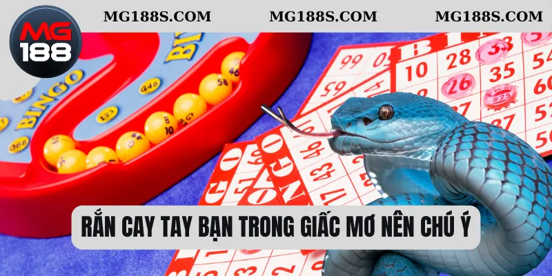 Mơ Thấy Rắn Cắn Xuất Hiện – Linh Cảm Về Vận Hạn Hay Cơ Hội 2 Rắn cay tay bạn trong giấc mơ nên chú ý