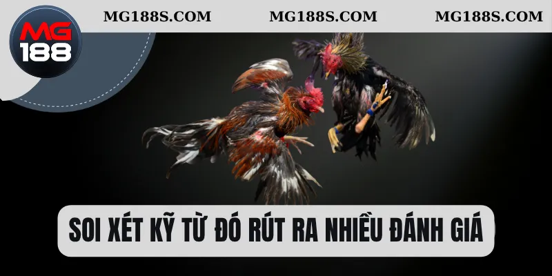 Soi xét kỹ từ đó rút ra nhiều đánh giá