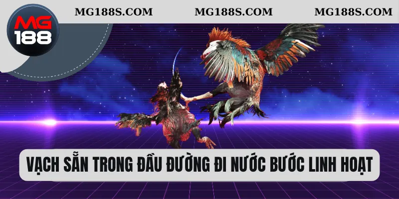 Vạch sẵn trong đầu đường đi nước bước linh hoạt 